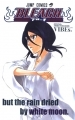 Bleach - Artbook - Official Animation Book Vibes