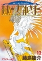 Ah! Megami-sama - Manga - Vol.12
